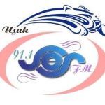 Radyoyu dinle Ses FM